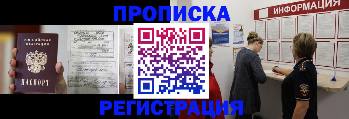 прописка поиск в Александровске